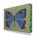Colorado Butterfly Box Art - 1