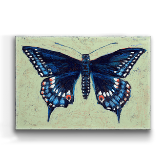 Black Swallowtail Box Art