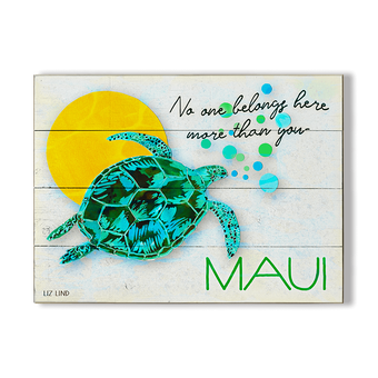 Sun Turtle Art Sign