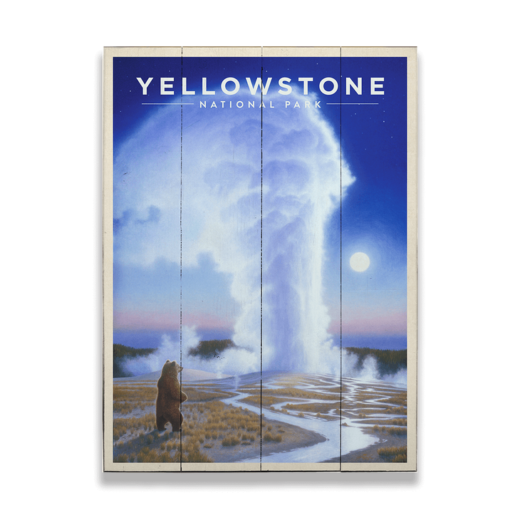 Bear Witness - Yellowstone National Park - Bear Witness - Yellowstone National Park
