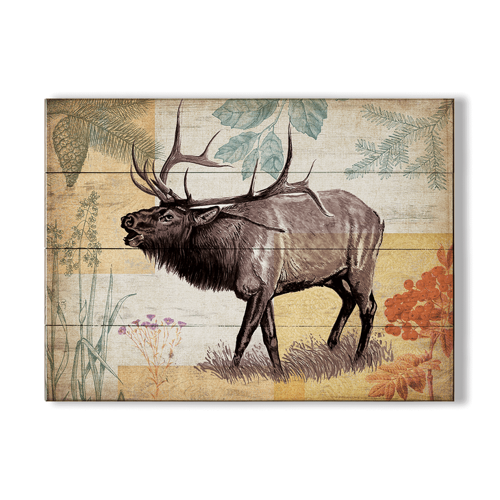Wildwood Elk Wall Art - Wildwood Elk Wall Art