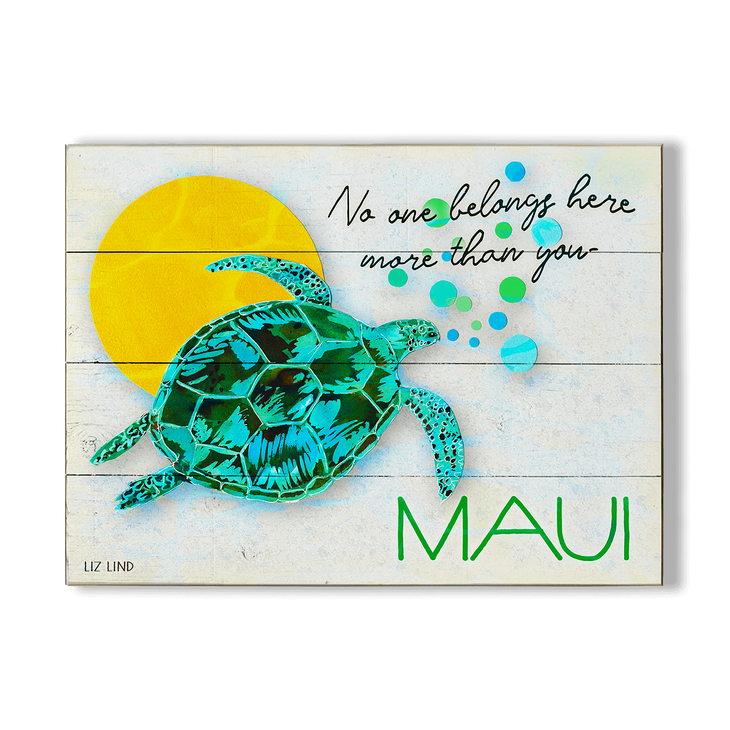 Sun Turtle Art Sign - Sun Turtle Art Sign