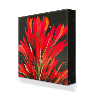 Scarlet Paintbrush - Metal Box Art Metal Box Art Nancy Seiler