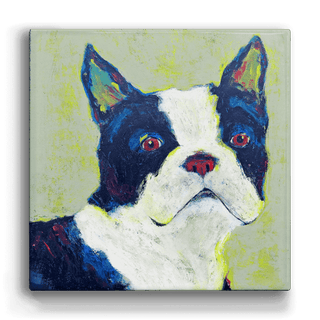 Shamus, Boston Terrier - Metal Box Art Metal Box Wall Art Shelle Lindholm