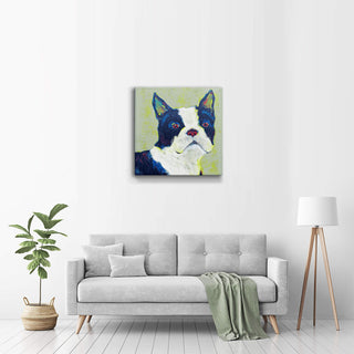 Shamus, Boston Terrier - Metal Box Art Metal Box Wall Art Shelle Lindholm