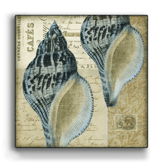 Indigo Shells: Whelk Pair - Metal Box Art Metal Box Art Suzanne Nicoll