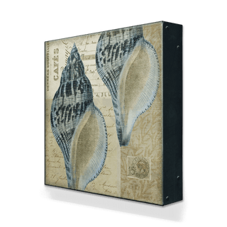 Indigo Shells: Whelk Pair - Metal Box Art Metal Box Wall Art Suzanne Nicoll