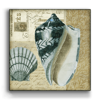 Indigo Shells: Scallop and Olive - Metal Box Art Metal Box Art Suzanne Nicoll