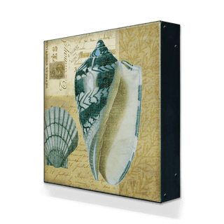 Indigo Shells: Scallop and Olive - Metal Box Art Metal Box Wall Art Suzanne Nicoll