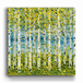 Spring Aspens - Square Metal Box Art