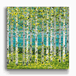 Summer Aspens - Square Metal Box Art