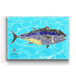 Solo Bluefin