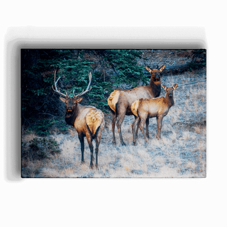 Three Elk Ensemble - Metal Box Art Metal Box Art Michael Underwood