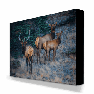 Three Elk Ensemble - Metal Box Art Metal Box Art Michael Underwood