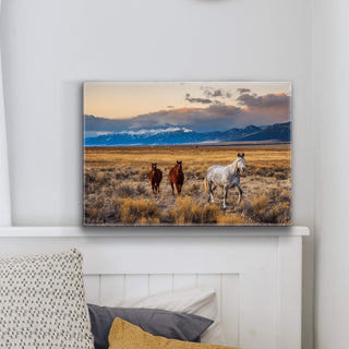 Horses in the San Luis Valley - Metal Box Art Metal Box Art Michael Underwood