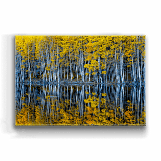 Mirrored Aspens - Metal Box Art Metal Box Art Michael Underwood