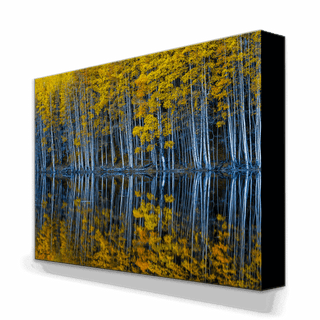 Mirrored Aspens - Metal Box Art Metal Box Art Michael Underwood