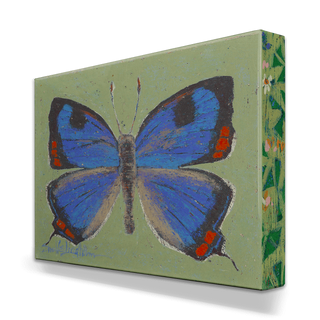 Colorado Hairstreak Butterfly - Metal Box Art Metal Box Art Shelle Lindholm