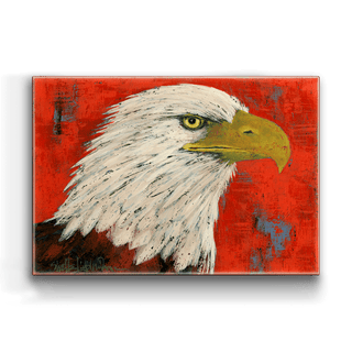 Bald Eagle - Metal Box Art Metal Box Wall Art Shelle Lindholm