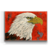 Bald Eagle - Metal Box Art