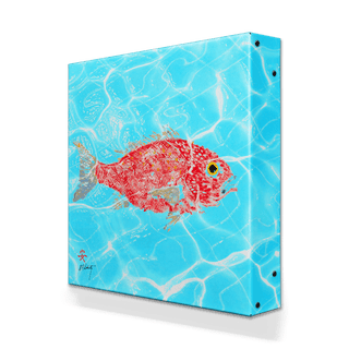 Solo Red Snapper - Metal Box Art Metal Box Art FishAye Trading Company
