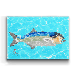 Solo Bluefish - Metal Box Art Metal Box Art FishAye Trading Company