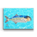 Solo Bluefish