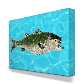 Solo Striped Bass - Metal Box Art Metal Box Art FishAye Trading Company