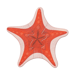 Coastal Starfish - Wood Wall Art Shaped Wall Art Meissenburg Designs