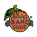 Orange Grove