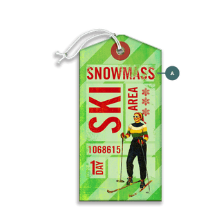 Green One Day Ski Pass - Luggage Tag Luggage Tag Wall Art Meissenburg Designs