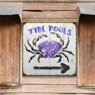 Tide Pools - Wood & Metal Wall Art Wood & Metal Signs FishAye Trading Company