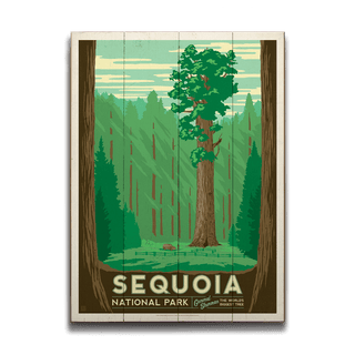 Sequoia National Park - Wood Plank Wall Art Wood & Metal Signs Anderson Design Group