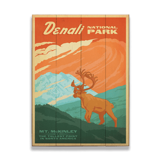 Denali National Park - Wood Plank Wall Art Wood & Metal Signs Anderson Design Group