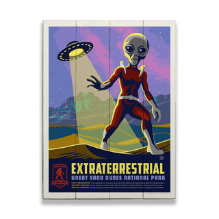 Extraterrestrial: The Dune's Mysterious Guest - Wood Plank Wall Art Wood & Metal Signs Anderson Design Group