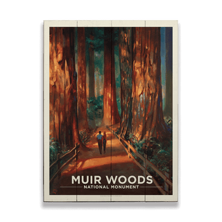 Muir Woods National Monument - Wood Plank Wall Art Wood & Metal Signs Anderson Design Group