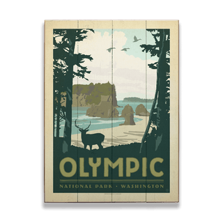 Olympic National Park - Wood Plank Wall Art Wood & Metal Signs Anderson Design Group