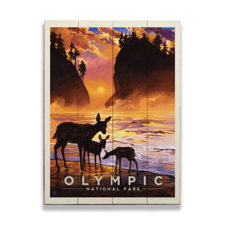 Olympic National Park - Wood Plank Wall Art Wood & Metal Signs Anderson Design Group