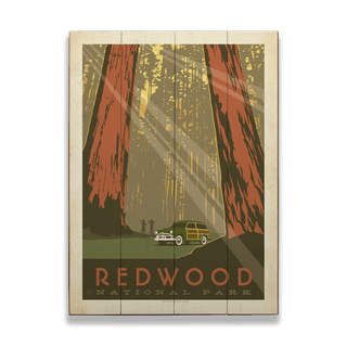 Redwood National Park - Wood Plank Wall Art Wood & Metal Signs Anderson Design Group