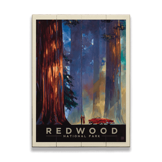 Redwood National Park - Wood Plank Wall Art Wood & Metal Signs Anderson Design Group