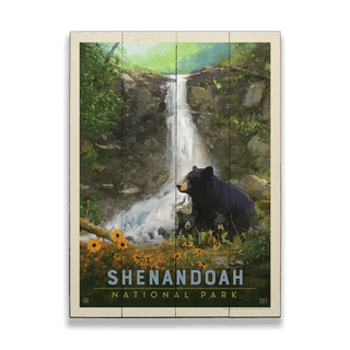 Shenandoah National Park - Wood Plank Wall Art Wood & Metal Signs Anderson Design Group