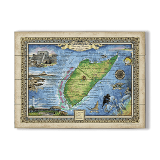 Dives and Beaches of Cozumel, Mexico - Wood & Metal Wall Art Wood & Metal Signs Lisa Middleton