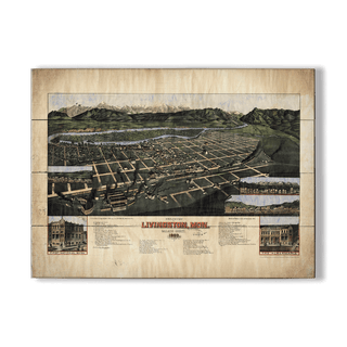 Bird's Eye View of Livingston, Montana - Wood & Metal Wall Art Wood & Metal Signs Lisa Middleton