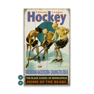 Female League Hockey - Wood & Metal Wall Art Wood & Metal Wall Art Meissenburg Designs Wood 24" x 14"