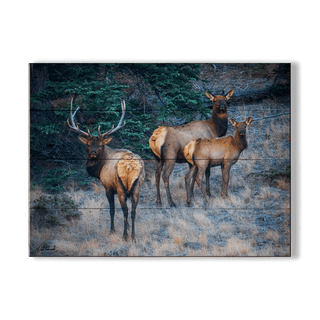 Three Elk Ensemble - Wood & Metal Wall Art Wood & Metal Signs Michael Underwood