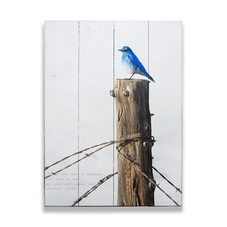 Mountain Bluebird - Wood & Metal Wall Art Wood & Metal Signs Michael Underwood