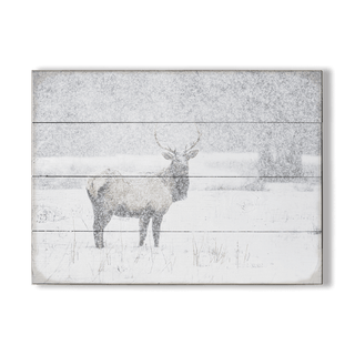 Snow Covered Elk - Wood & Metal Wall Art Wood & Metal Signs Michael Underwood