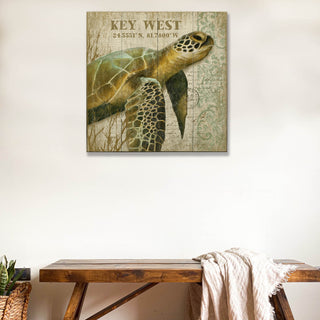 Reef Wanderers: The Mossy Turtle - Wood & Metal Wall Art Wood & Metal Wall Art Suzanne Nicoll